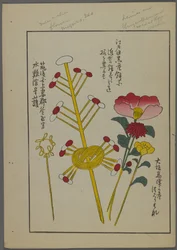 Japanse speelgoed, uit Unai no tomo (Vrienden van een kind) door Shimizu Seifu, 1891-1923. Bloemen, knopen.